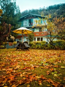 brown wooden bench on brown dried leaves